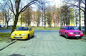 Problemy Łojewskiej