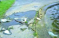 Basen w Parku Br�dnowskim
