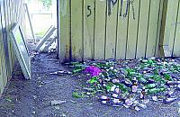 �mietnisko na Bazylia�skiej