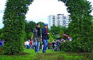 Schronienie przed deszczem