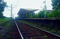 Zebrali ju� 1000 podpis�w
