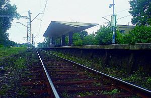 Zebrali już 1000 podpisów