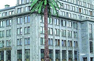 Zerówki w kontenerach