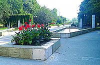 Diametralnie r�ne parki