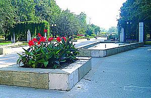 Diametralnie różne parki