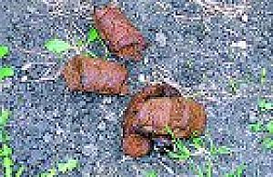 Dzielnica g... nie tyka