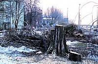 Zmarnowana ziele�