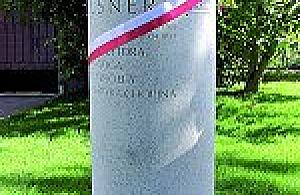 Elsner na Elsnerowie