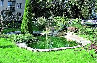 Nowy (stary) stawik na Br�dnie