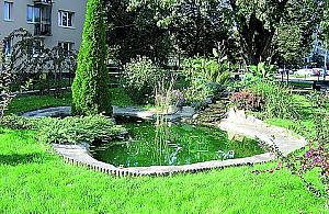 Nowy (stary) stawik na Bródnie