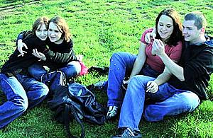 Kolekcja T przeniesiona...