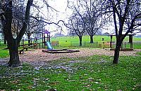 Deskorolkowy raj