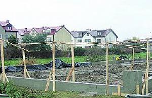 Urzędnicy obiecują gruszki na wierzbie...