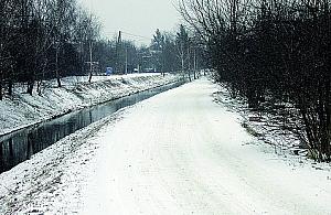 Piecyka chce "luksusów"