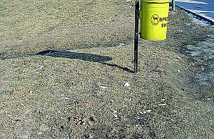 Psie kupy mają gdzieś