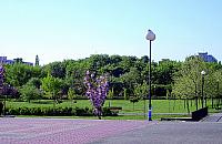 W parkach b�dzie internet