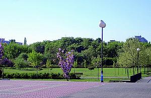 W parkach będzie internet