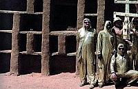 Afrykańska wiata powstanie na Bródnie