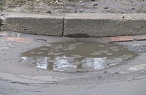 Czy dziury przylatują z ciepłych krajów?