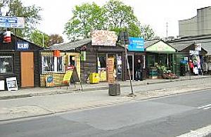 Nowe oblicze Żegańskiej