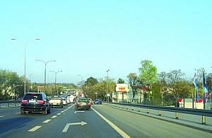 Nieużytki na Płowieckiej