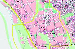 Ilu jest zerzeńczyków?