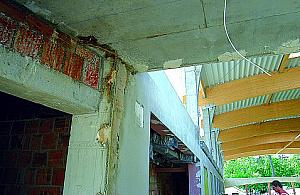 Miauczenie w sprawie basenu