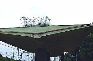 Siódmy cud świata w Wawrze