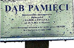 Katyńskie Dęby Pamięci