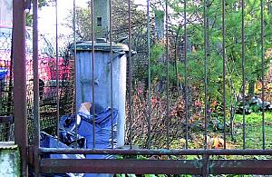 Śmieci nie dla każdego