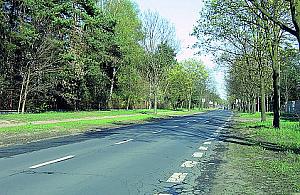 Wolniej na Izbickiej!