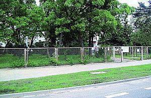 Do przychodni lepiej piechotą...