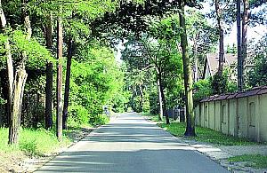 Pędzą po Żwanowieckiej