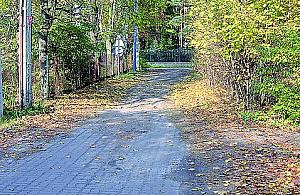 Zimowa niedokończona