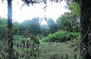 Przedszkole na 140 dzieci