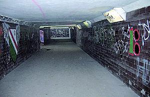 Anin (może) będzie, a Falenica?