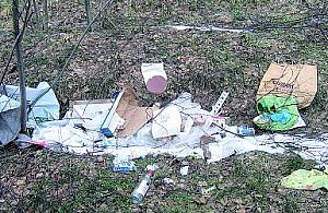 Śmieci w krajobrazie