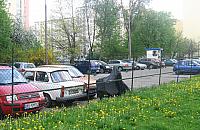 Społeczne do lamusa?