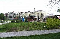 Pija�stwo przy dzieciach?