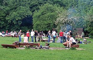 Wandale w parku Młocińskim