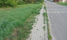 Chodnik na Dzięcioła dziczeje, kasy brak