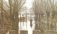 Długa niemoc w sprawie Długiej