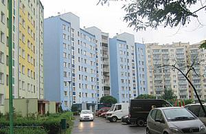 Trują psy i koty na Chomiczówce