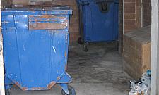 Trują psy i koty na Chomiczówce