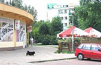 Nie ma mocnych na pub na Wrzecionie?