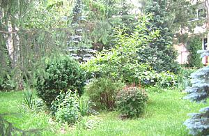 Sami dbają o trawniki na Rossy Bailly