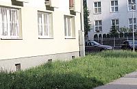 Syreny oczekuje monitoringu