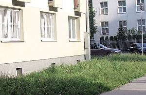 Syreny oczekuje monitoringu