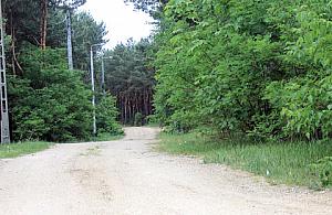 Mieszkańcy Górnej wołają o pomoc