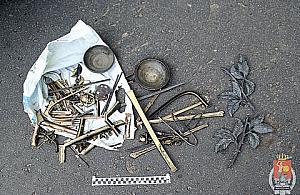 Hieny z cmentarza Północnego